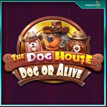 สล็อตบ้านหมา The Dog House Dog or Alive